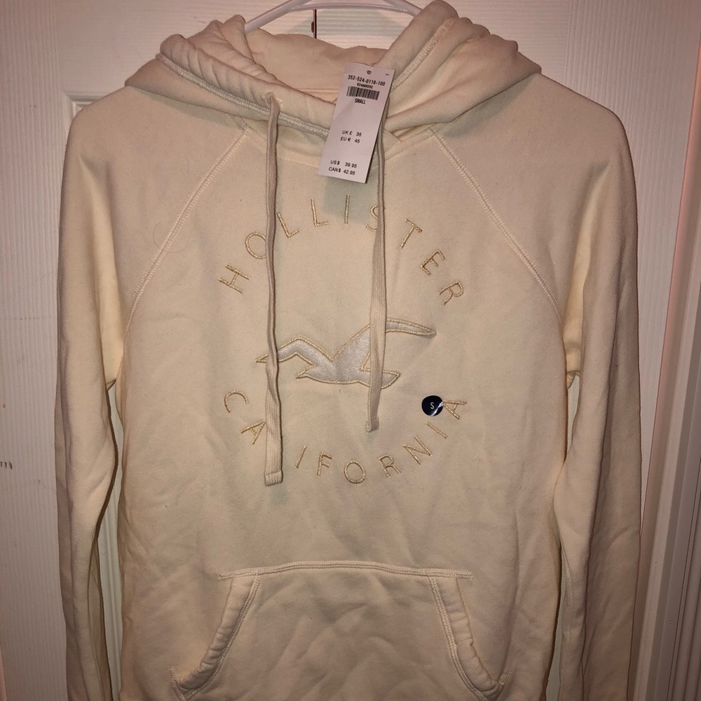 BNWT Hollister Hoodie